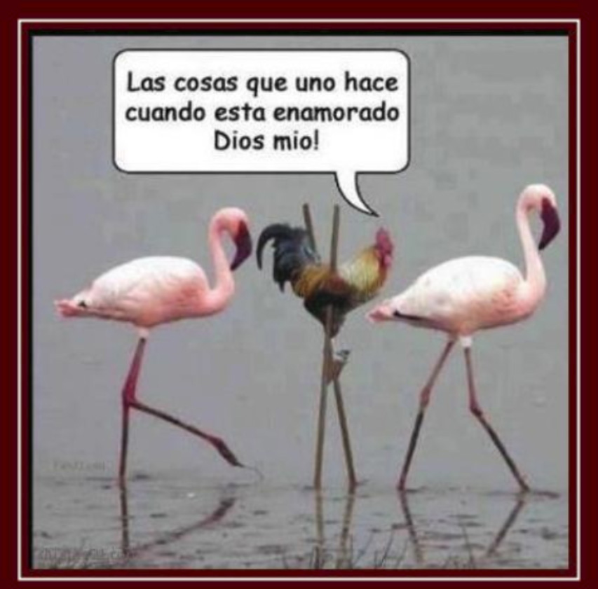El amor como ejercicio de la voluntad